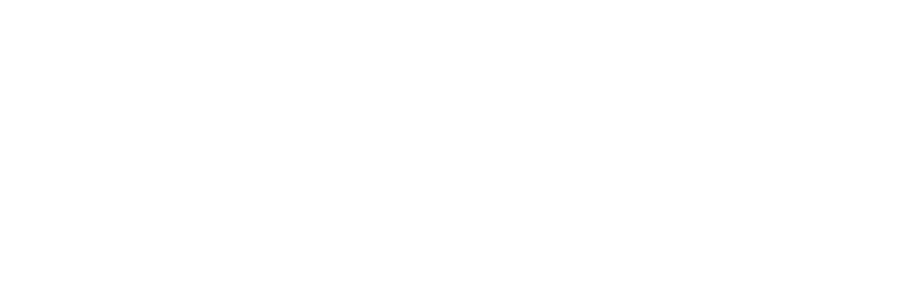 Black and white logo of HOTEL STADT HAMBURG and WESTERLAND / SYLT on the website of 12-18 Investment