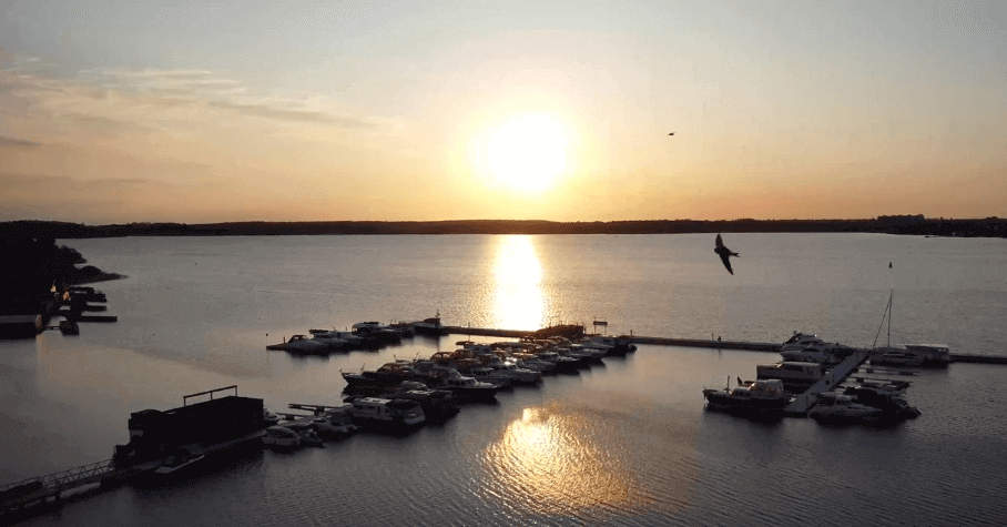 Ein Vogel fliegt über einen Steg mit Booten und einem Sonnenuntergang