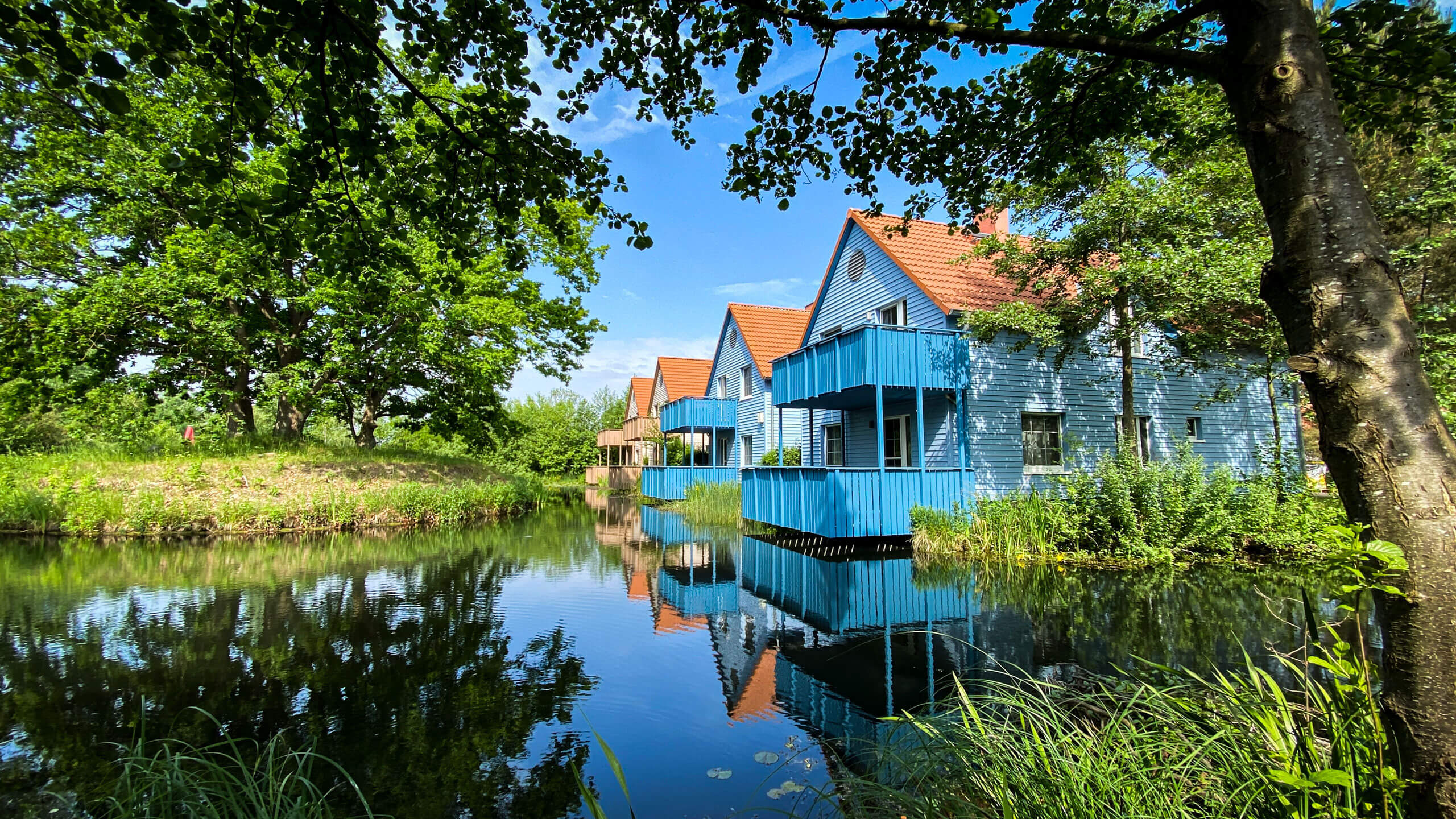 A scenic view of a row of houses by the riverside with trees and buildings in the background